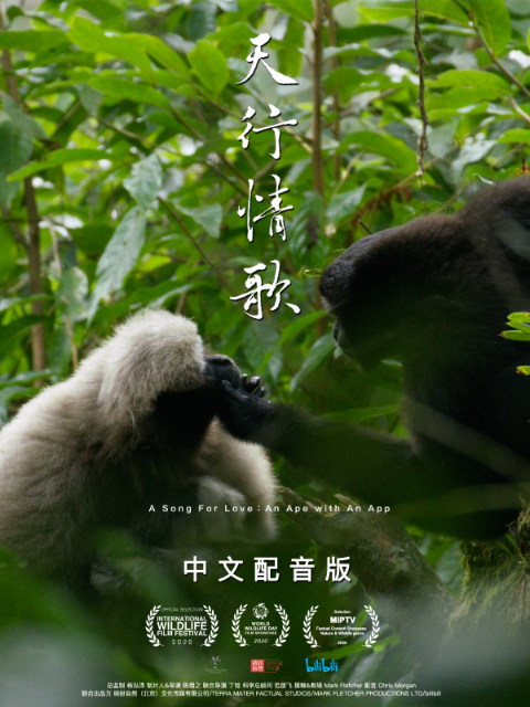 天行情歌（中配版） 海报