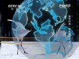 地理中国 《地理中国》地球档案-招鹤回鸣之谜（上）20150122