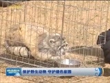 晚间报道 《晚间报道-内蒙古》 20180604