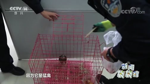 新闻袋袋裤 《新闻袋袋裤》 20191204
