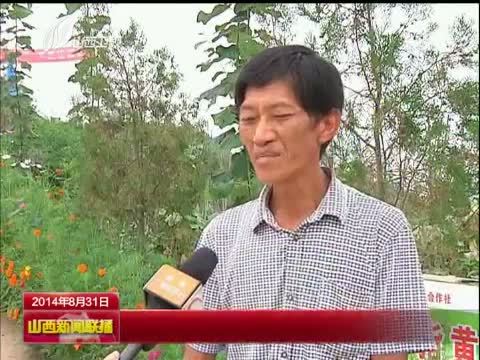 山西新闻联播 《山西新闻联播》 20140831