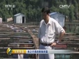 生财有道 《生财有道》 20150709 来之不易的鲟鱼财富