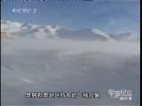 军事纪实 迷失的羊群
