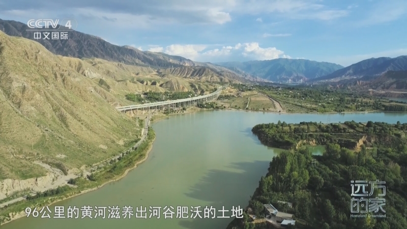 远方的家 《远方的家》 20250604 母亲河的脉动 黄河两岸 山水家园
