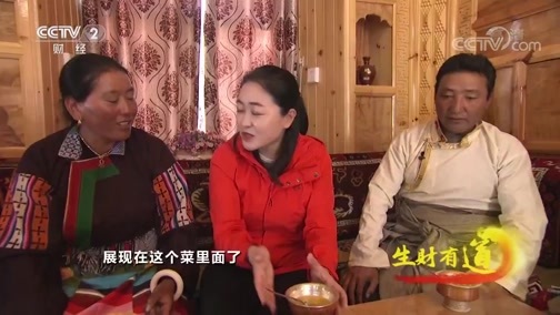 生财有道 《生财有道》 20191122 四川稻城；生态美 风情浓 财路通