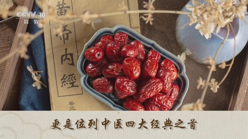 百家讲坛 《百家讲坛》 20240731 古代名医那些事儿 10 隋唐“《素问》三杰”