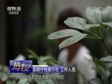 热线12 《热线12》 20180820