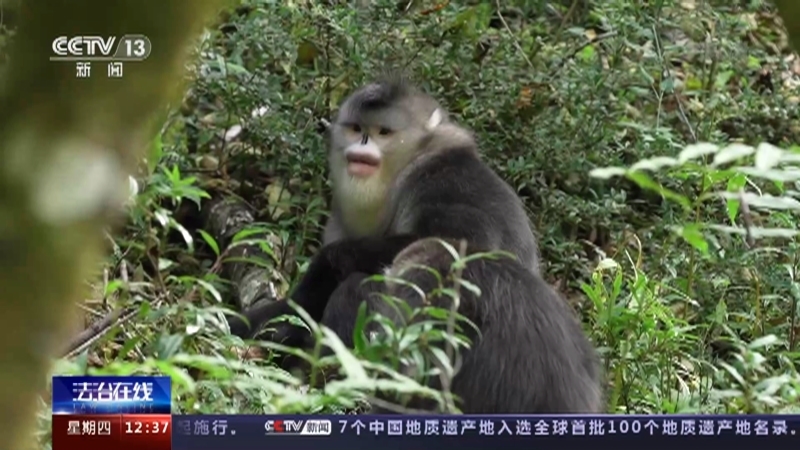 法治在线 《法治在线》 20221027