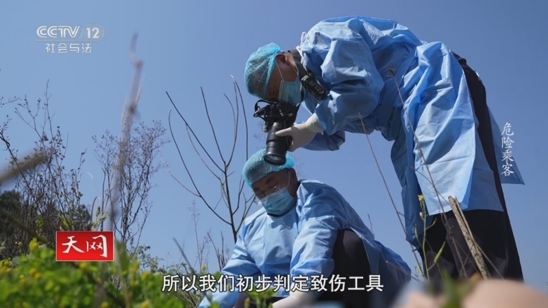 天网 《天网》 20250702 危险乘客
