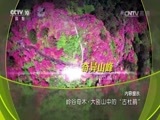地理中国 《地理中国》 20161225 大别山中的“古杜鹃”