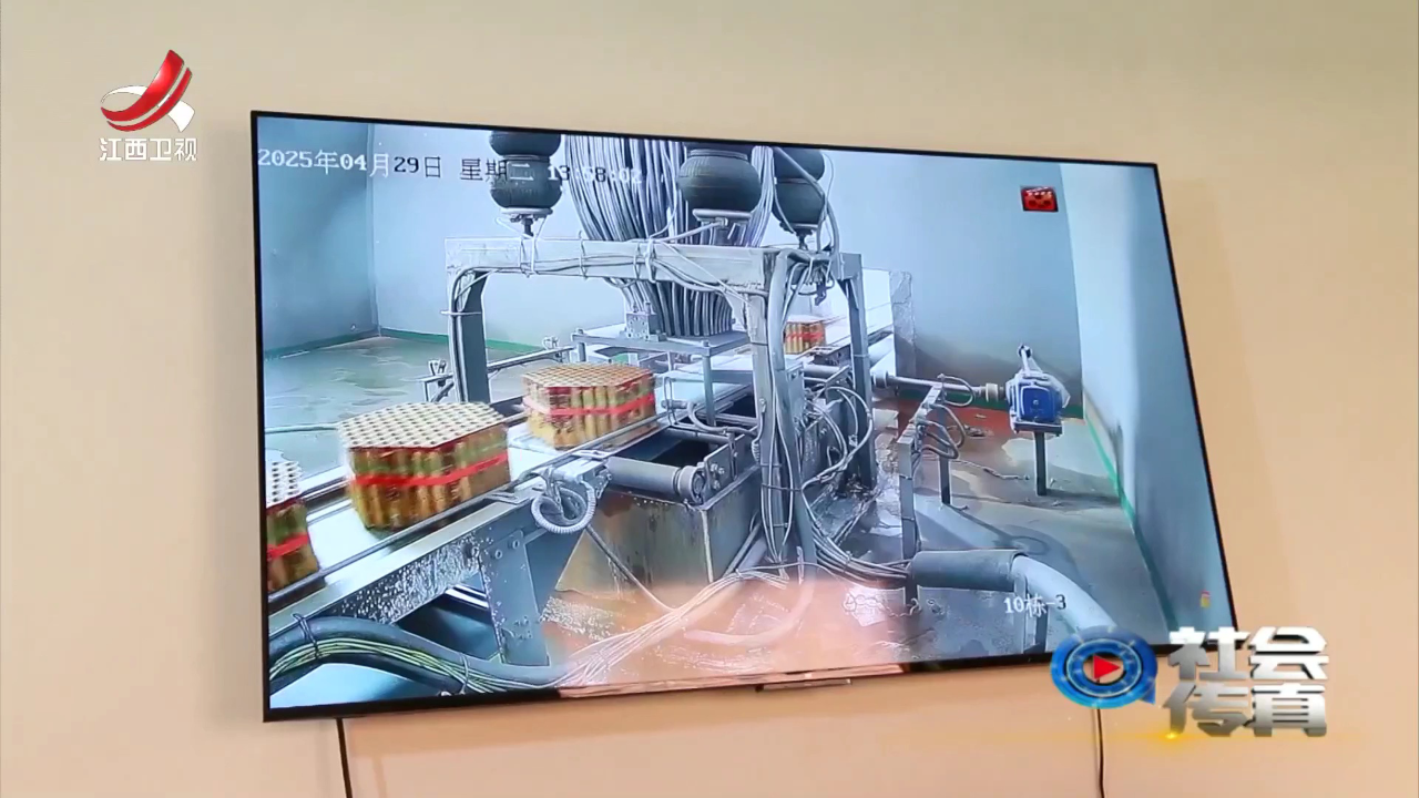 社会传真 一线调研——一朵烟花绽放百亿产业