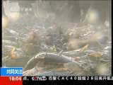 共同关注 共同关注 2010-12-29