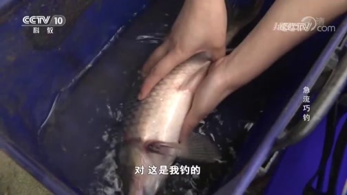 我爱发明 《我爱发明》 20190511 急流巧钓