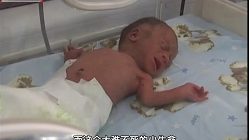 好人故事 “盆盆”漂流记