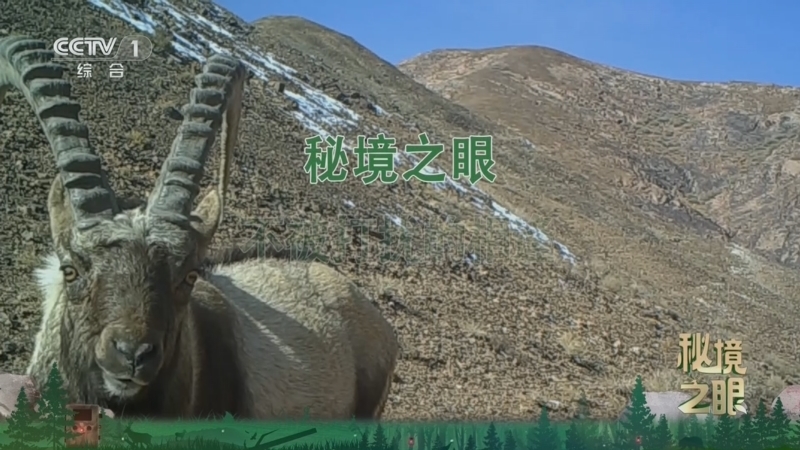 秘境之眼 《秘境之眼》 北山羊 20260613