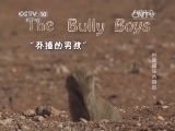 自然传奇 《自然传奇》 20140805 妙趣横生大自然（下）
