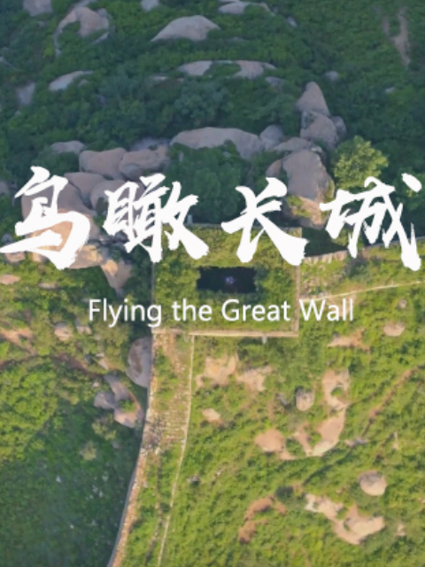 鸟瞰长城 海报