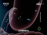 走近科学 《走近科学》 20160620 全国食品安全宣传周特别节目 食品工厂的秘密之探秘乳酸菌饮料