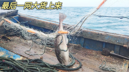 南澳岛赶海日记 中午12点开始休渔期，彪哥猛拉最后一网就返航，大货还是最后来了