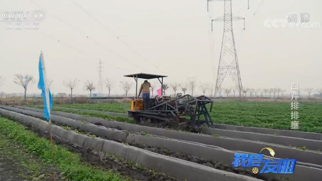 我爱发明 《我爱发明》 20200205 白芹排排壅