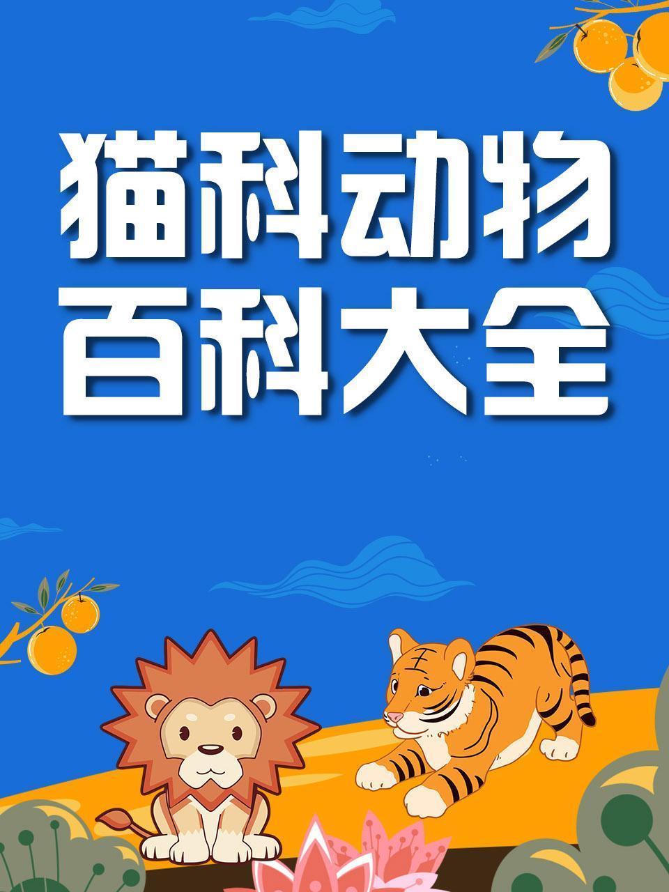 猫科动物百科大全
