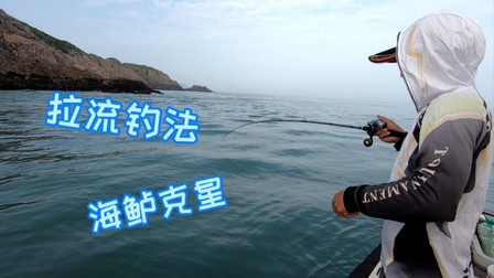 拉流钓法是钓海鲈鱼最具杀伤力的钓法，看阿杰用一下午钓了多少