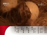 动物世界 《动物世界》 20170831 狮在险途篇（二）