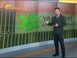 新闻夜总汇 《新闻大通道》 20160315