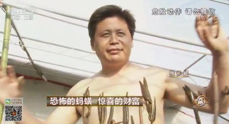 致富经 [致富经]恐怖的蚂蟥 惊喜的财富 20180330