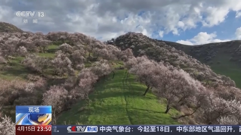 24小时 《24小时》 20250415
