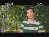 CCTV空中剧院 《CCTV空中剧院》 20140722 苏州弹词流派演唱会(访谈)