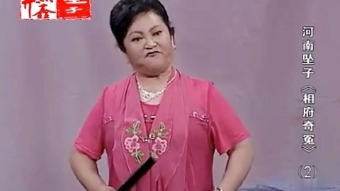 河南坠子 河南坠子 相府奇冤 二部