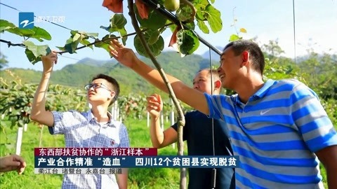浙江新闻联播 产业合作精准“造血” 四川12个贫困县实现脱贫