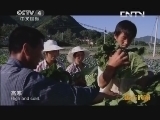 远方的家 百山百川行 第八十七集 秦岭 和谐共生的秦岭家园 《远方的家》 20130902