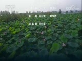 环球经济连线 《环球财经连线》 20170819