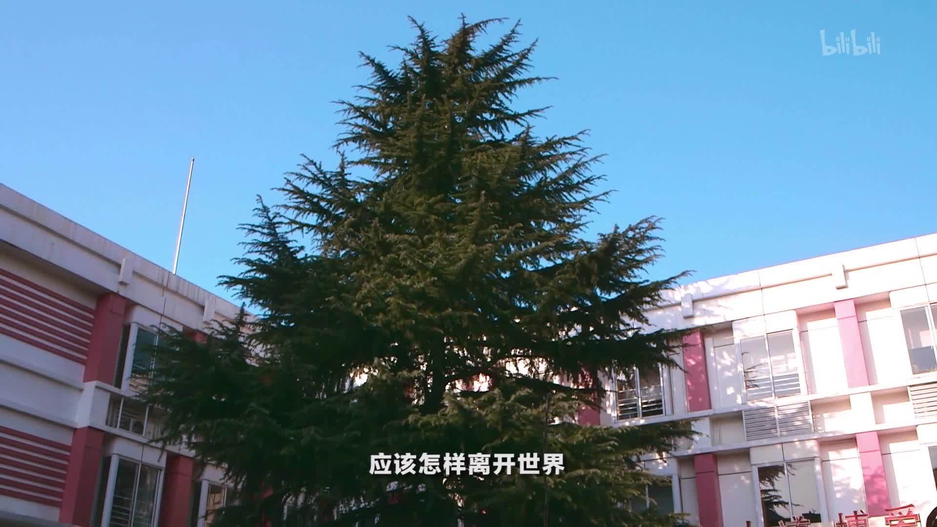 生命里 记得