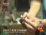 远方的家 《远方的家》长城内外 第27集 登居庸关 逛中轴线 20151103