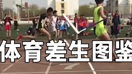 火遍全网的《体育差生图鉴》