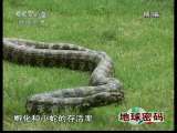 地球密码（周末精编节目） 周末精编节目 2010年 第160期 2-2