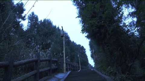 传奇故事 少女失踪的真相