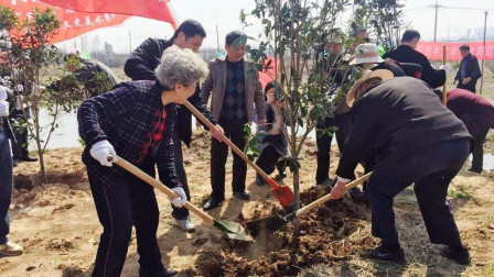 俗语：“五十不建房，六十不栽树，七十不做衣”，是什么意思？