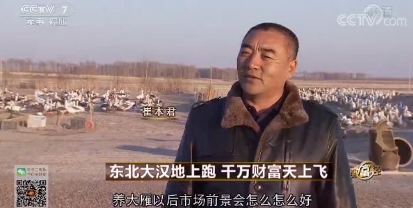 致富经 [致富经]东北大汉地上跑 千万财富天上飞 20180115