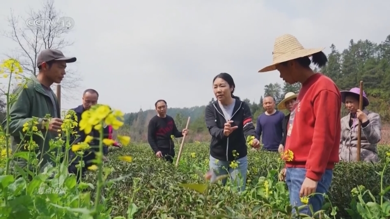 《焦点访谈》 20241002 开辟中国式现代化广阔前景 绿水青山间的答卷