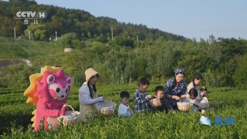 智慧树 《智慧树》 20260821