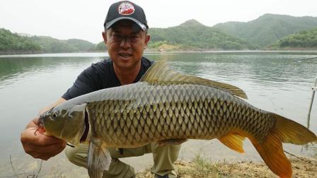 游钓中国 第四季 岸钓第一窝点 意料外的收获