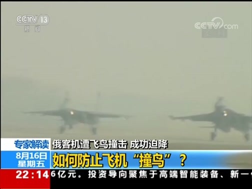 国际时讯 《国际时讯》 20190816