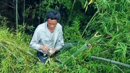 能在竹林上游走的老人，被称为“竹海飞人”