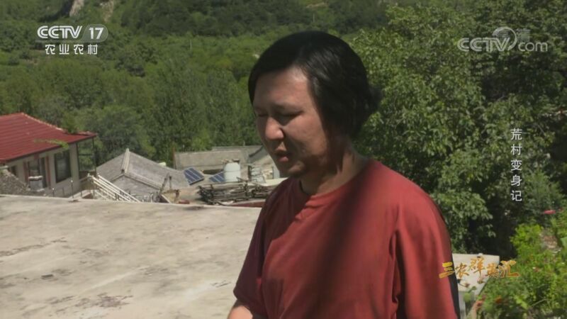 三农群英汇 《三农群英汇》 20201015 荒村变身记