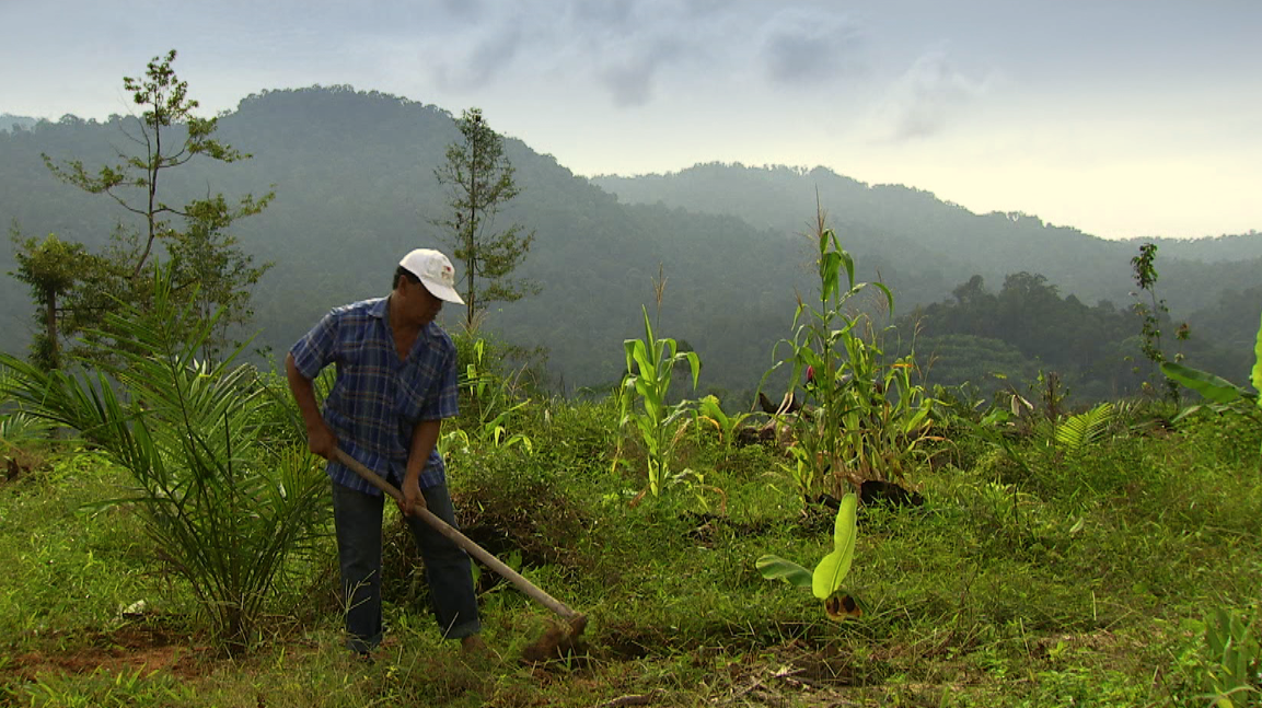 The Immortal Shadows