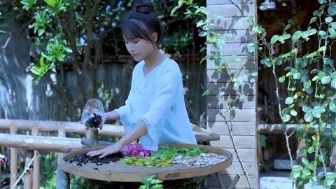 李子柒古香古食 逍遥草本茶